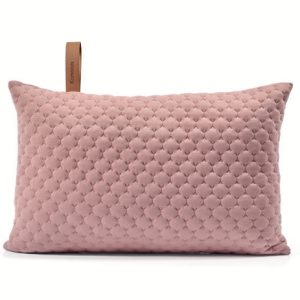 Cushion Daisuke